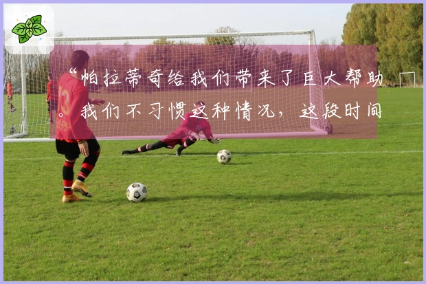 “帕拉蒂奇给我们带来了巨大帮助。我们不习惯这种情况，这段时间非常困难”