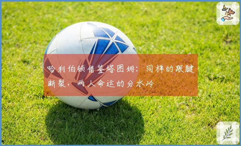 哈利伯顿借鉴塔图姆：同样的跟腱断裂，两人命运的分水岭