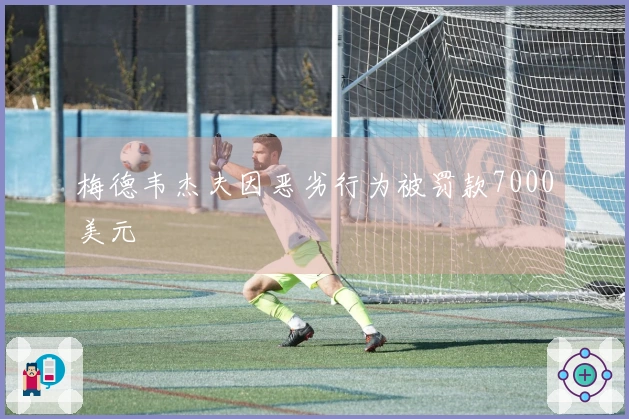 梅德韦杰夫因恶劣行为被罚款7000美元