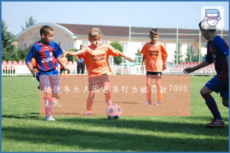 梅德韦杰夫因恶劣行为被罚款7000美元