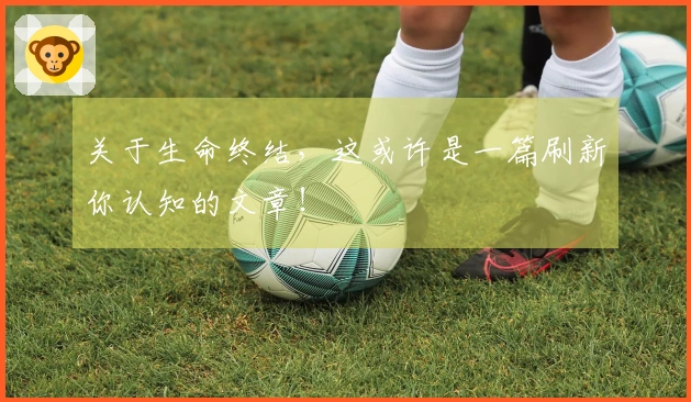 关于生命终结，这或许是一篇刷新你认知的文章！